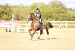 SBM_003686