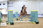 SBM_003677