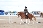 SBM_17175