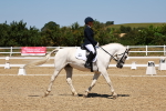 SBM_011701