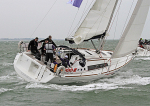 120614 FLEUR DE LIS IMG_8343