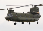 Chinook