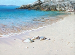 lazy surf