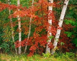 Istock #13969805