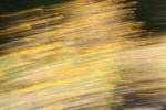Momentum