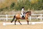 SBM_018638