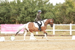 SBM_001352