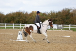 SBM_002634
