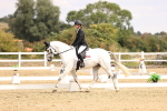 SBM_013736