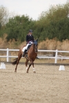 SBM_015651