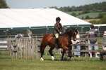 SBM_06905