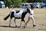WJ6_8582