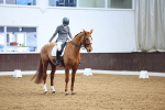 SBM_007250