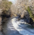 A Frozen Brecon and Monmouth Canal