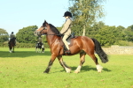 SBM_59920