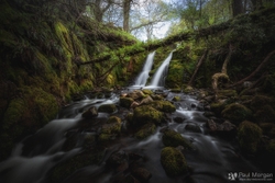 Twin Falls