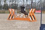 BPP_4599
