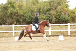 SBM_001326