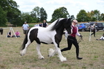 WJ6_5505
