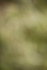 20250831-2299