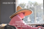 BPP_2513