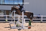 BPP_7185