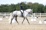 SBM_016008