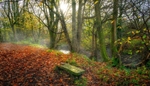 The-Autumn-Seat