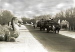 The road to the Ming Tombs