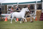 SBM_09775