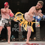 BOUT-12 Stanlee Wilson v Dan Maree portfolio