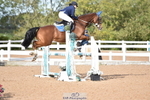 Cls 25 95cm Amateur Q 2nd R portfolio