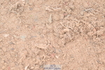 260923B-131954-00349