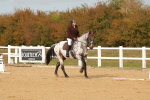 SBM_010435