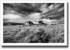 Approaching Reaveleyhill ♦ BREAMISH VALLEY