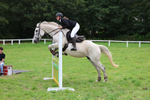 Camborne Show 19 July 2025 (Showjumping ring only) portfolio