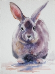 Bunny SOLD