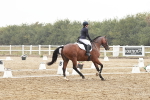 SBM_003874