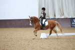 SBM_004200