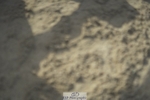 230909-094344-04680