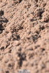 230606A-160509-00024
