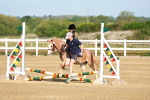 SBM_006215