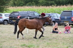 WJ6_6189