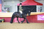 SBM_11798