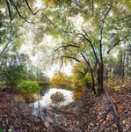 Wyman Meadow,  Walden