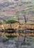 Reflection in Lough Fee