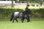 SBM_62739