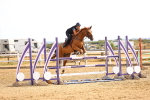 SBM_001672