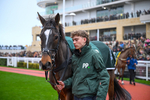 151125-Race 4-Hoe Joly Smoke-3147