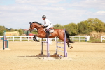 SBM_006686